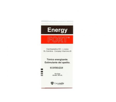 ENERGY FORT JARABE FRASCO X 100 ML.