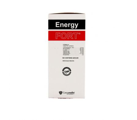 ENERGY FORT JARABE FCO X 240 ML.